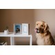 Pearhead Photo and Clay Pet Print Desk Frame - Distressed Grey