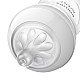 Bottle Natural Response 260 ml 1m+ διακόσμηση Koala