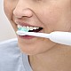 Σετ 8 κεφαλών βουρτσίσματος C1 ProResults HX6018/87 για ηλεκτρικές οδοντόβουρτσες Philips Sonicare