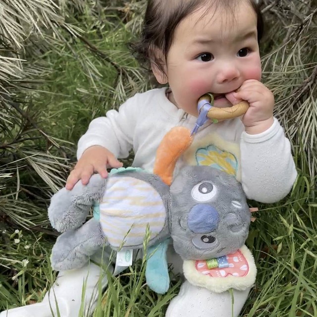Playgro Fauna Friends βελούδινο κοάλα με μαλακή οδοντοφυΐα, 0m+