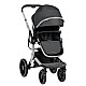 Συνδυασμένο καρότσι 3 σε 1 με σκληρό καλάθι Irene Dark Grey 2024