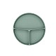 Platinum Silicone Sage Πλάκα σφραγισμένη με κενό