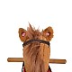Rocking Horse Thunder Khaki