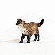 Φιγούρα Ragdoll Kitten, Schleich Ηλικία: 3+ Μέγεθος: 6,5x3,9x1,5 cm