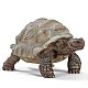 Ειδώλιο Γιγάντιας Χελώνας, Schleich Ηλικία: 3+ Μέγεθος: 4.3x7.8x4.1 εκ.