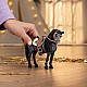 Figurine Mare Cigar Raca Española, Schleich Ηλικία: 3+ Μέγεθος: 12,3x10,3x4 cm