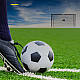 Τερματικό ποδοσφαιρικό τέρμα Dunlop 300x200x120