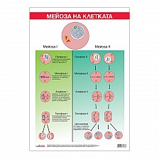 Cubos σχολική πινακίδα «Μείωση», 70 x 100 εκ.