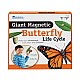 Πόροι μάθησης Butterfly Life Cycle Magnetic Kit