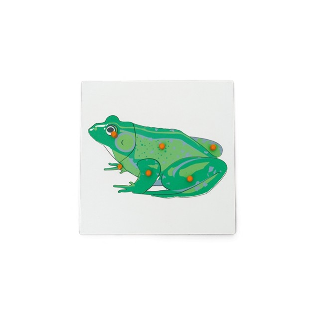 Nowa Szkola Puzzle Frog, ξύλινο, 6 τεμάχια
