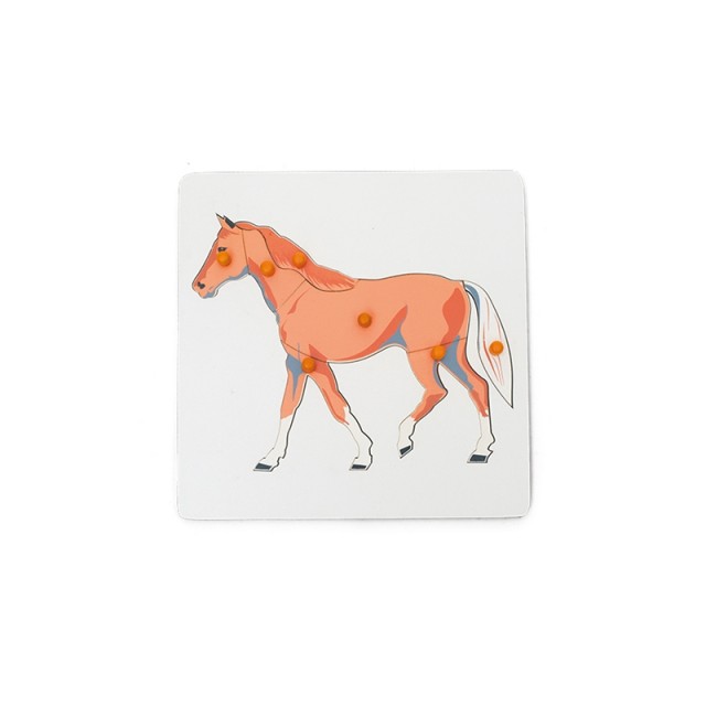Nowa Szkola Puzzle Horse, ξύλινο, 7 τεμάχια