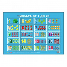 Cubos Ученическо табло ''Цифрите от 1 до 20'', ламинирано, 50 x 70 cm