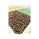 Nowa Szkola Sensory board Nature, 120 x 30 cm