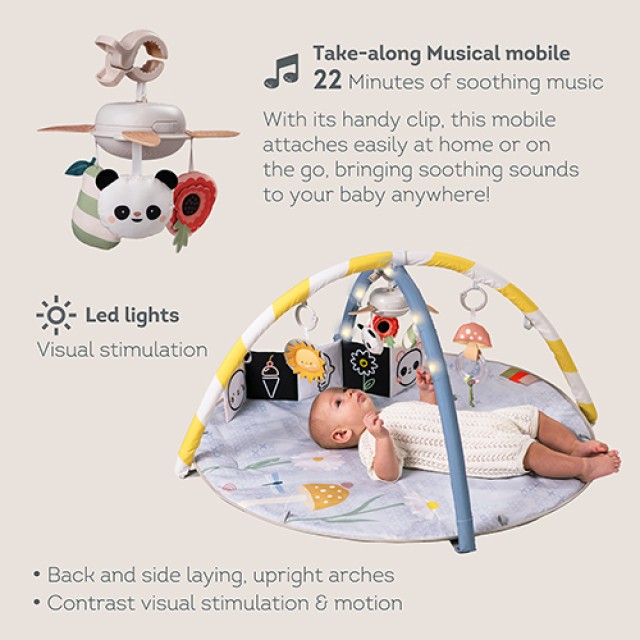 Μουσική γυμναστική, Taf Toys, με φώτα LED