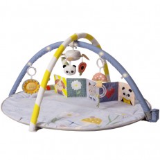 Μουσική γυμναστική, Taf Toys, με φώτα LED