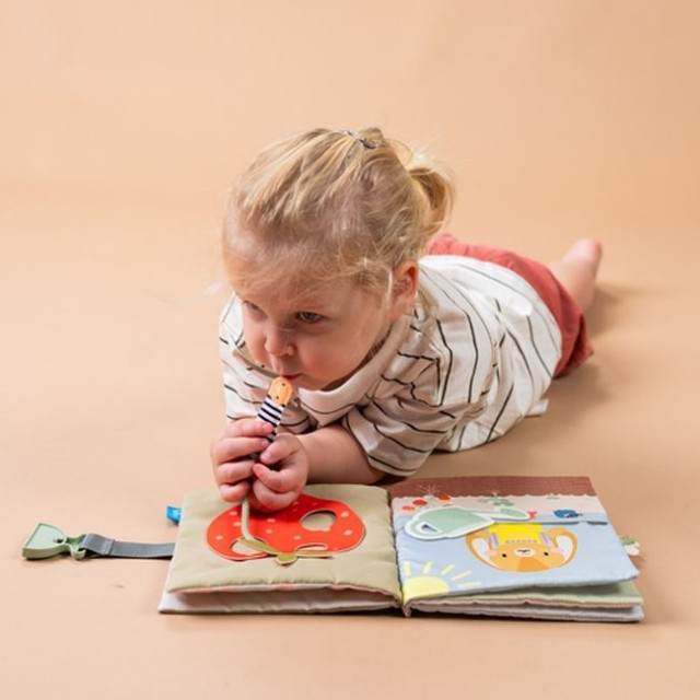 Χαρτόδετο Baby, Taf Toys