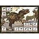 Σετ 12 mega dino αυγά για να ανακαλύψετε