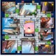 Επιτραπέζιο παιχνίδι, Κινήσεις Νίκης, Cluedo, Spiderman
