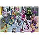 Пъзел Monster High, 1000 части