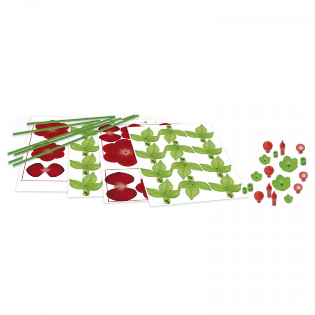 Παζλ 3D, Floral Art, Educa, Roses