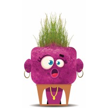 Uncle Grass, Hape, Surprised Sandra