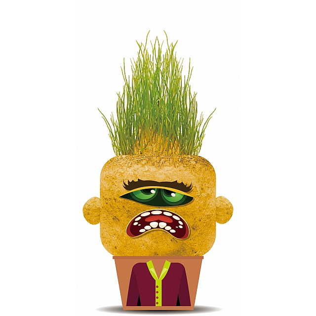 Uncle Grass, Hape, Grim Mary