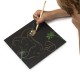 Scratchbook Δεινόσαυροι