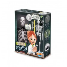 Εκπαιδευτικό παιχνίδι, Buki France, Skeleton, 45 cm