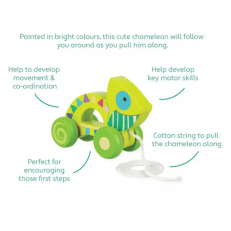 "Chameleon" Pull Toy - Ζώα της Ζούγκλας