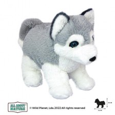 Λούτρινο παιχνίδι, Husky Puppy 25εκ. Άγριος Πλανήτης
