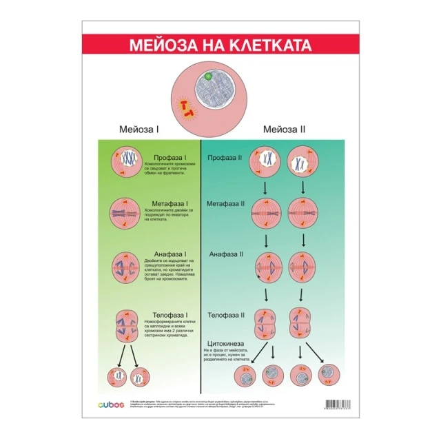 Cubos σχολική πινακίδα «Μείωση», 70 x 100 εκ.