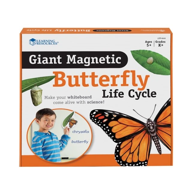 Πόροι μάθησης Butterfly Life Cycle Magnetic Kit