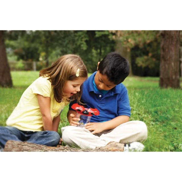 Learning Resources βάζο παρατήρησης εντόμων, πασχαλίτσα
