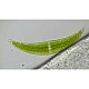 Bresser μικροσκόπιο Researcher Trino 40x - 1000x