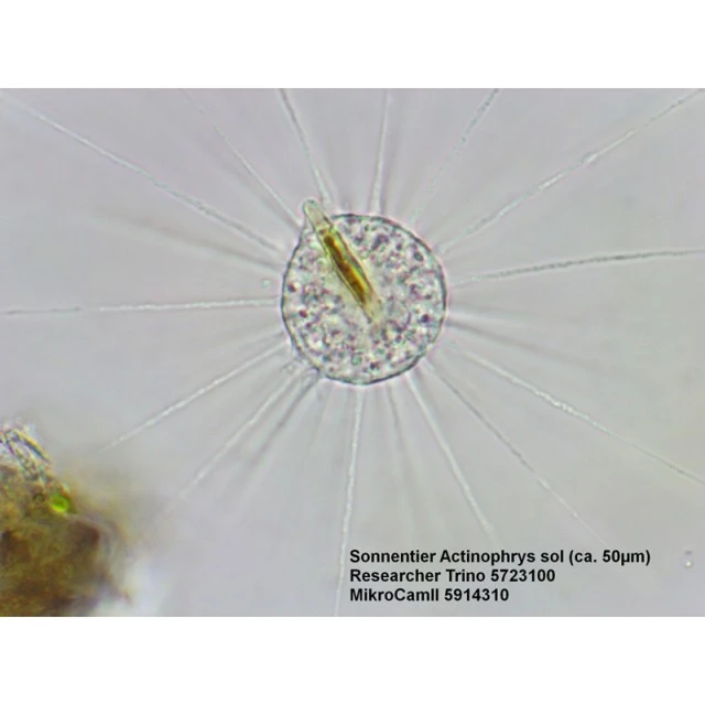 Bresser μικροσκόπιο Researcher Trino 40x - 1000x