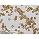 Bresser μικροσκόπιο Researcher Trino 40x - 1000x
