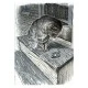 Faber-Castell μαρκαδόροι-πινέλο Pitt Artist, Grey, 8 τμχ