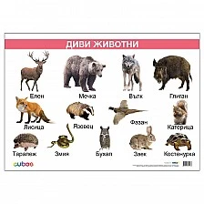Cubos σχολική πινακίδα «Άγρια ζώα», πλαστικοποιημένη, 50 x 70 εκ., μοντέλο 2