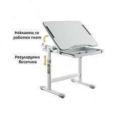 RFG εργονομικό μαθητικό θρανίο и καρέκλα Ergo Tech B207 γκρι