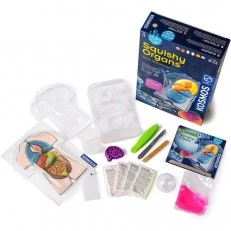 Ανατομία βλεννογόνου