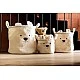 Καλάθι αποθήκευσης 25x20x20 cm teddy white