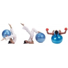 Μπάλα γυμναστικής Gymnic Plus 65cm BRQ μπλε