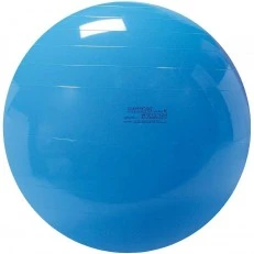 Μπάλα για γυμναστική Physio Gymnic 95cm μπλε
