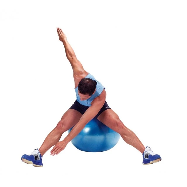 Μπάλα γυμναστικής Gymnic Plus 65cm BRQ μπλε