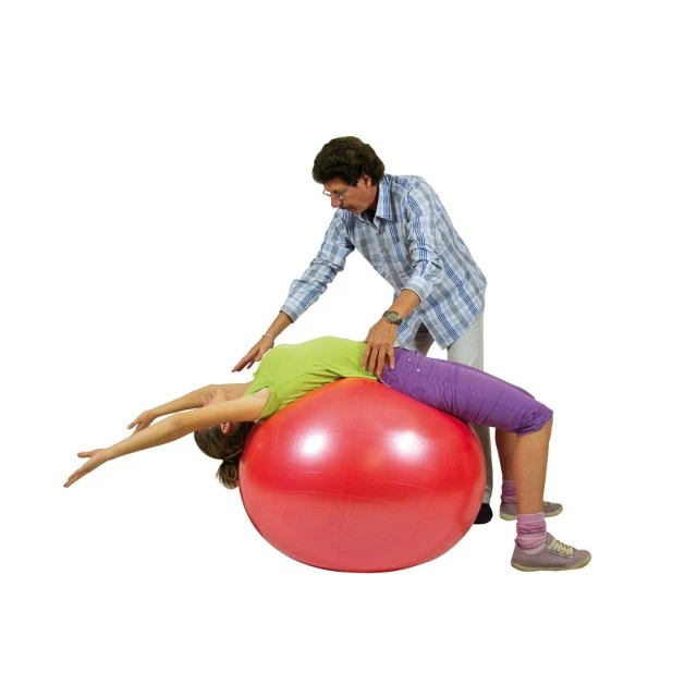 Μπάλα γυμναστικής Gymnic Body Ball 95 εκ. μπλε