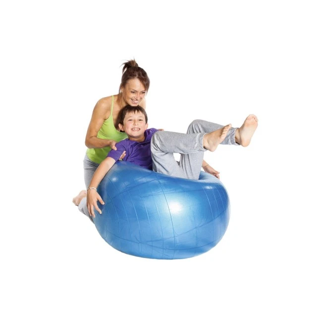 Μπάλα γυμναστικής Gymnic Body Ball 95 εκ. μπλε