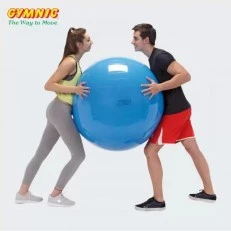 Μπάλα για γυμναστική Physio Gymnic 95cm μπλε