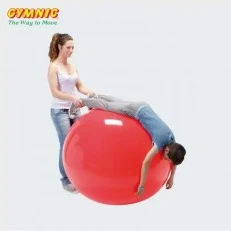 Μπάλα για γυμναστική Physio Gymnic 120cm κόκκινη