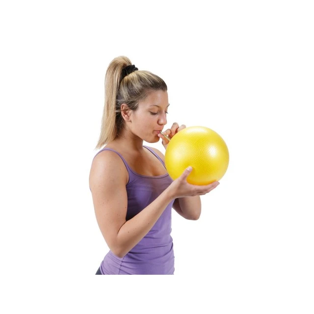 Gymnic Over Ball Φ23εκ