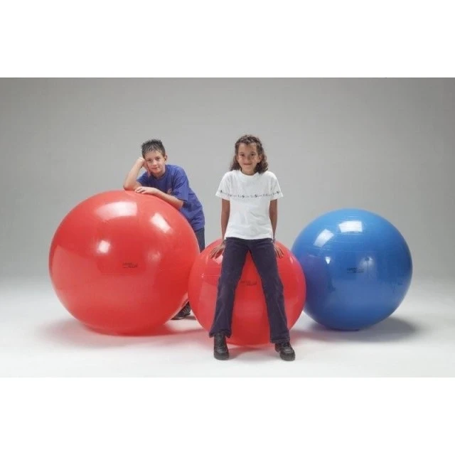 Μπάλα για γυμναστική Physio Gymnic 85cm κόκκινη